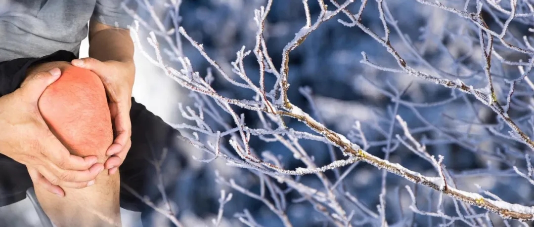 今日大雪丨提醒高尿酸朋友：守護關節健康刻不容緩！
